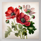 Red Anemone Flowers Art Print Poster (Voorkant)