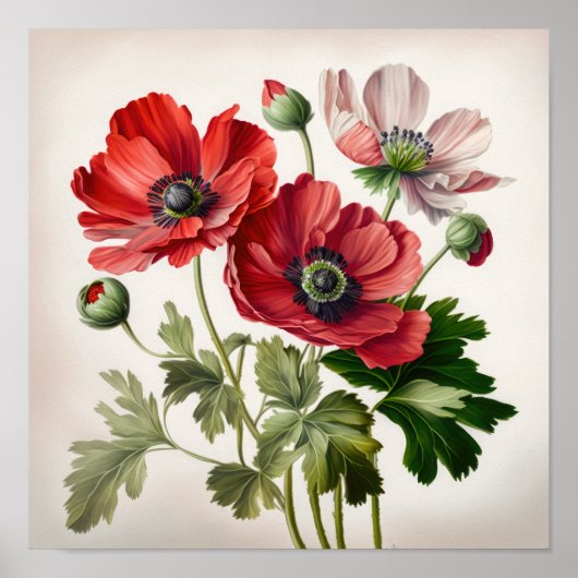 Red Anemone Flowers Art Print Poster (Voorkant)