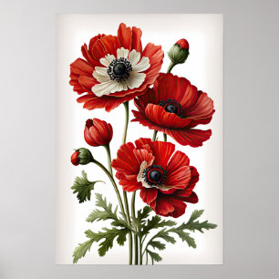 Red Anemone Flowers Art Print Poster