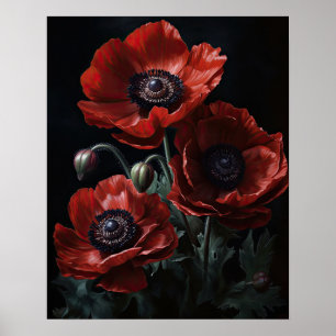 Red Anemone Flowers Art Print Poster