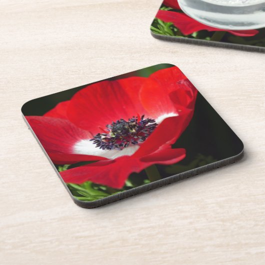 Red Anemone.JPG Bier Onderzetter (Linkerzijde)