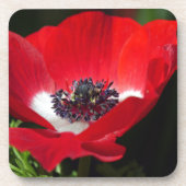 Red Anemone.JPG Bier Onderzetter (Voorkant)