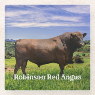 Red Angus Bull   Glazen Onderzetter