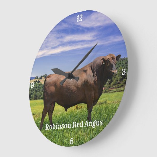 Red Angus Bull Grote Klok (Hoek)