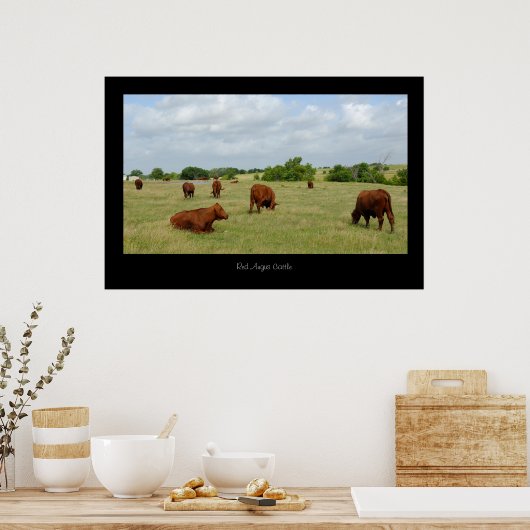 Red Angus Cattle Poster Print (Keuken)