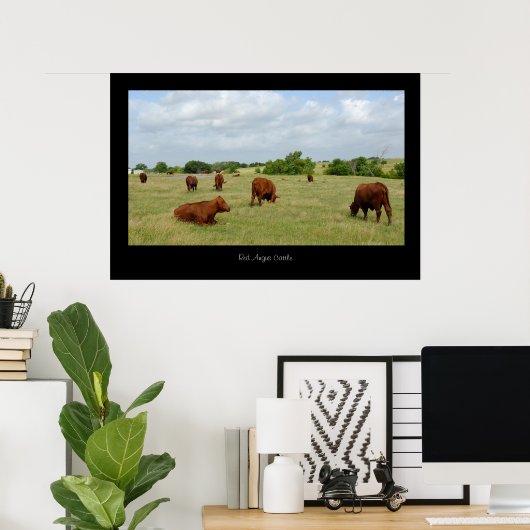 Red Angus Cattle Poster Print (Thuiskantoor)