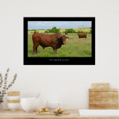 Red Angus Cattle Poster Print (Keuken)