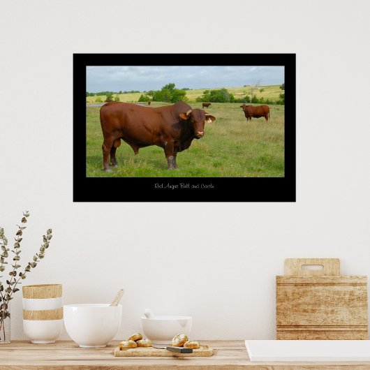 Red Angus Cattle Poster Print (Keuken)