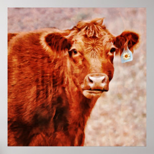 Red Angus Koe met Daisy ID Fotografische Kunst Afd Poster