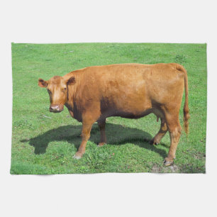 Red Angus Theedoek