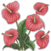 Red Anthurium Flowers with Green Leaves Sticker (Voorkant)