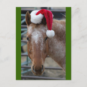 Red Appaloosa met Santa Hat Feestdagenkaart