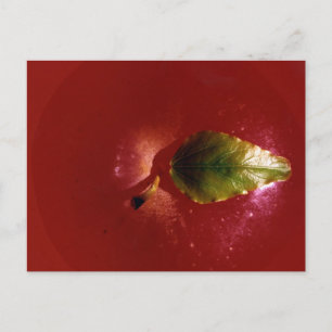 Red Apple Briefkaart