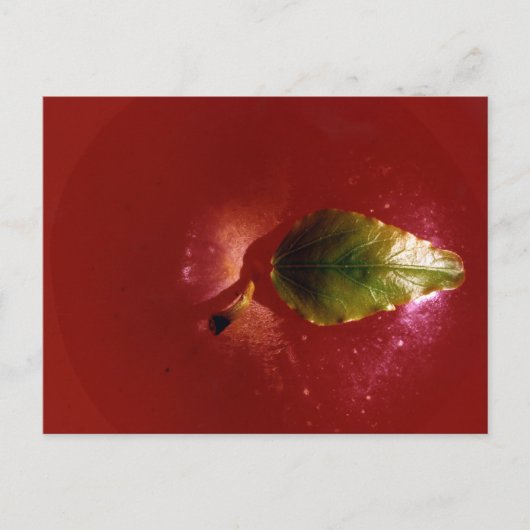 Red Apple Briefkaart (Voorkant)