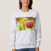 "Red Apple on Tree" Kute foto. Bestel nu Trui (Voorkant)