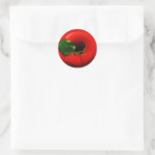 Red Apple-ontwerp Ronde Sticker (Tas)