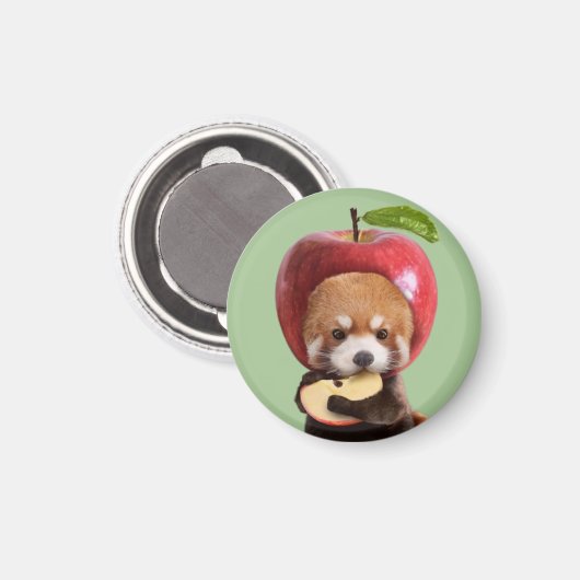 Red Apple Panda Magneet (Voorkant / Achterkant)