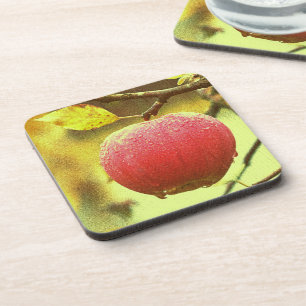 "Red Apple" verkuilt foto. Bestel nu Bier Onderzetter