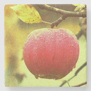 "Red Apple" verkuilt foto. Bestel nu Stenen Onderzetter