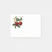 Red Apples Botanical Teacher Name 4x3 Post-it® Notes (Voorkant)