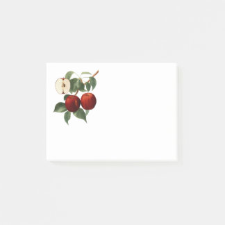 Red Apples Botanical Teacher Name 4x3 Post-it® Notes