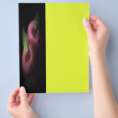 Red Apples Flyer (Hand)