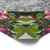 Red Apples Natuur Art Lijst Creëer Uw eigen foto Poster (Hoek)