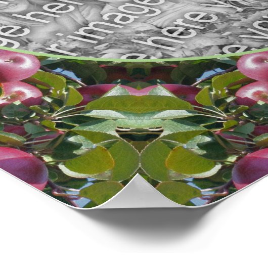 Red Apples Natuur Art Lijst Creëer Uw eigen foto Poster (Hoek)