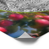 Red Apples on Tree Lijst Voeg je foto toe Poster (Hoek)