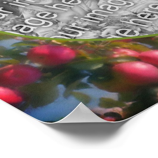 Red Apples on Tree Lijst Voeg je foto toe Poster (Hoek)