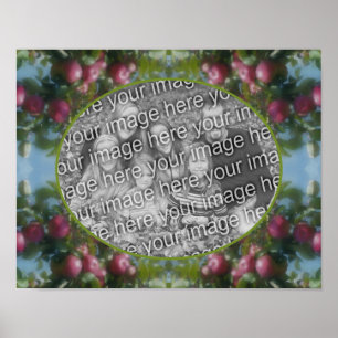 Red Apples on Tree Lijst Voeg je foto toe Poster