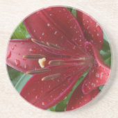 Red Asiatic Lilly Zandsteen Onderzetter (Voorkant)