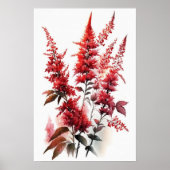 Red Astilbe Flower Art Print Poster (Voorkant)