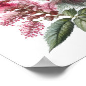 Red Astilbe Flower Art Print Poster (Hoek)