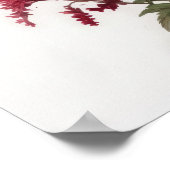 Red Astilbe Flower Art Print Poster (Hoek)