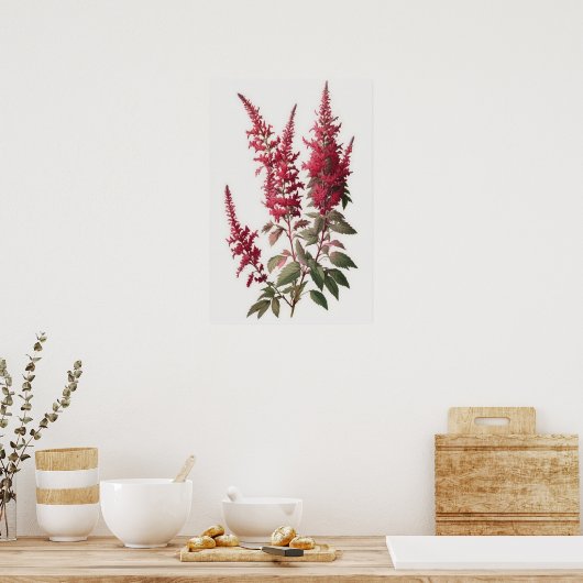 Red Astilbe Flower Art Print Poster (Keuken)
