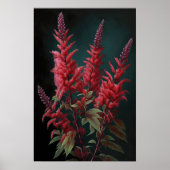 Red Astilbe Flower Art Print Poster (Voorkant)
