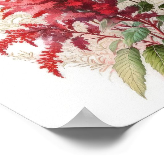 Red Astilbe Flower Art Print Poster (Hoek)