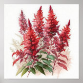 Red Astilbe Flower Art Print Poster (Voorkant)