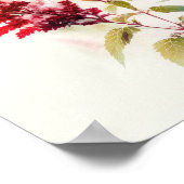 Red Astilbe Flower Art Print Poster (Hoek)