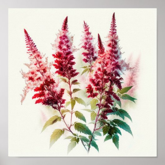 Red Astilbe Flower Art Print Poster (Voorkant)