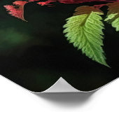 Red Astilbe Flower Art Print Poster (Hoek)