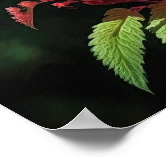 Red Astilbe Flower Art Print Poster (Hoek)