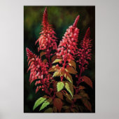 Red Astilbe Flower Art Print Poster (Voorkant)
