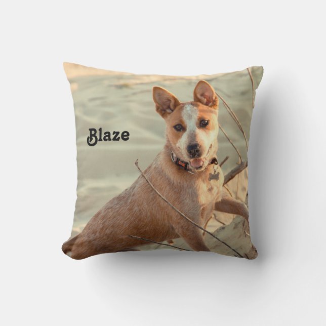 Red Australian Cattle Dog - Heeler - in de sneeuw Kussen (Voorkant)