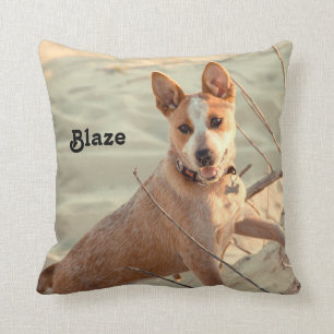 Red Australian Cattle Dog - Heeler - in de sneeuw Kussen