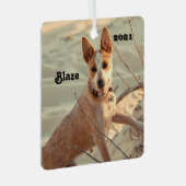 Red Australian Cattle Dog - Heeler - in de sneeuw Metalen Ornament (Voorkant Rechts)