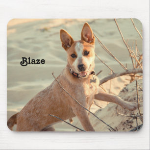 Red Australian Cattle Dog - Heeler - in de sneeuw Muismat