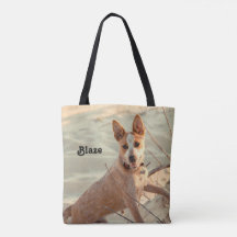 Red Australian Cattle Dog - Heeler - in de sneeuw
