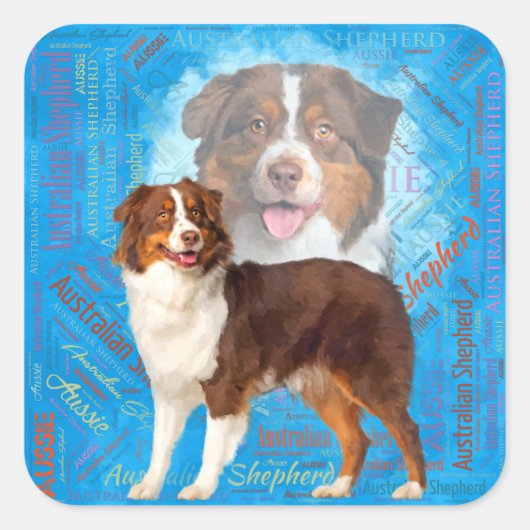 Red Australian Shepherd dogs - Aussie Vierkante Sticker (Voorkant)